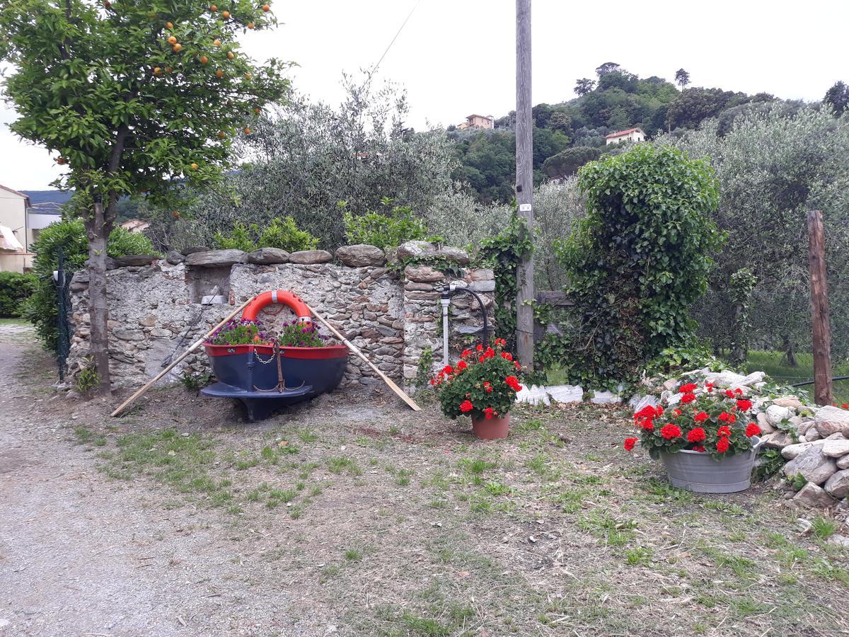 La Terra Di Mingo Bed & Breakfast Вадо Лигуре Екстериор снимка
